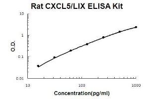 Rat CXCL5 PicoKine ELISA Kit standard curve