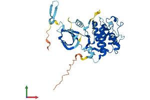 AlphaFold protein structure predicition of Human Recombinant CDK10 Protein, UniprotID Q15131