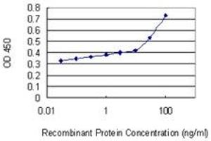 Detection limit for recombinant GST tagged NFAM1 is 10 ng/ml as a capture antibody. (NFAM1 Antikörper  (AA 187-269))