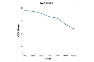 Antigen: 2 µg/100 µL  Primary: Antiserum, 1:500, 1:1000, 1:2000, 1:4000, 1:8000, 1:16000, 1:32000;  Secondary: HRP conjugated Rabbit Anti-Goat IgG at 1: 5000;  TMB staining Read the data in Microplate Reader by 450nm. (SOX4 Antikörper  (AA 54-103))