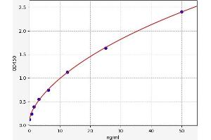 Elastin Microfibril Interfacer 1 (EMILIN1) ELISA Kit