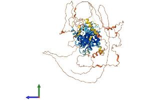 Protein Structure (PS) image for Neuronal PAS Domain Protein 4 (NPAS4) (AA 1-802) protein (His tag) (ABIN7564338)