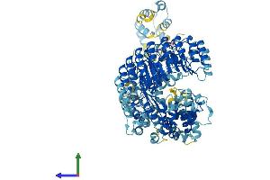 Protein Structure (PS) image for NLR Family, Pyrin Domain Containing 9C (NLRP9C) (AA 1-1004) protein (His tag) (ABIN7563998)