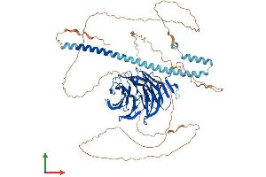 Protein Structure (PS) image for Transducin-Like Enhancer of Split 1 (E(sp1) Homolog, Drosophila) (TLE1) (AA 1-770) protein (His tag) (ABIN7563969)