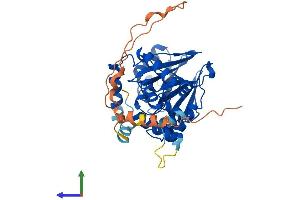 Protein Structure (PS) image for Paroxysmal Nonkinesigenic Dyskinesia (PNKD) (AA 1-385) protein (His tag) (ABIN7550767)