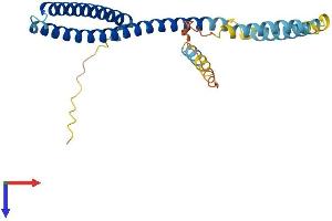 CHMP4C Protein (AA 1-233) (His tag)