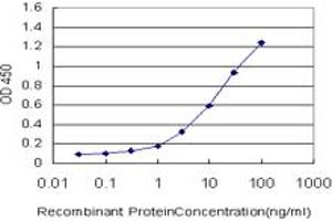 ELISA image for anti-A Kinase (PRKA) Anchor Protein 17A (AKAP17A) (AA 53-157) antibody (ABIN599035) (SFRS17A Antikörper  (AA 53-157))