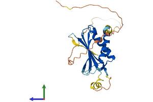 AlphaFold protein structure predicition of Mouse Recombinant Ddit4 Protein, UniprotID Q9D3F7 (DDIT4 Protein (AA 1-229) (His tag))