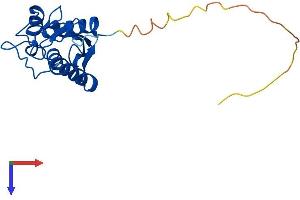 Ube2t Protein (AA 1-197) (His tag)