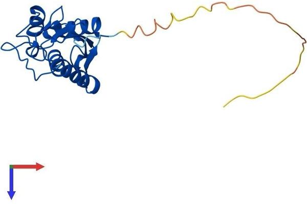 Ube2t Protein (AA 1-197) (His tag)