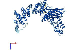 RABGGTA Protein (AA 1-567) (His tag)