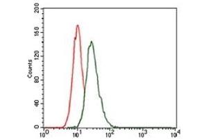 Flow Cytometry (FACS) image for anti-Low Density Lipoprotein Receptor-Related Protein 5 (LRP5) antibody (ABIN1108063) (LRP5 Antikörper)