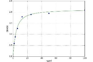 A typical standard curve (REG3g ELISA Kit)