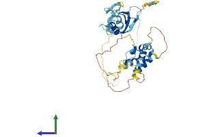 Protein Structure (PS) image for CD2 (Cytoplasmic Tail) Binding Protein 2 (CD2BP2) (AA 1-342) protein (His tag) (ABIN7560669)