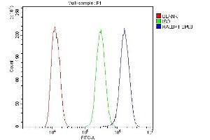 Flow Cytometry analysis of U20S cells using anti-RALBP1 antibody (ABIN5692936). (RALBP1 Antikörper  (AA 239-506))