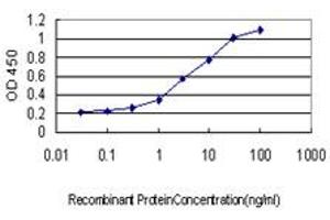 Detection limit for recombinant GST tagged UBE2G2 is approximately 0. (UBE2G2 Antikörper  (AA 1-87))