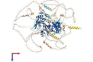 ST5 Protein (AA 1-1137) (His tag)
