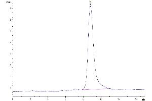 The purity of Mouse Clusterin is greater than 95 % as determined by SEC-HPLC. (Clusterin Protein (CLU) (AA 22-448) (His tag))