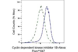 Validation of Cyclin dependent kinase inhibitor 1B knockdown using flow cytometry. (Rekombinanter CDKN1B Antikörper)