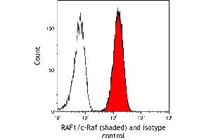 Flow Cytometry (FACS) image for anti-V-Raf-1 Murine Leukemia Viral Oncogene Homolog 1 (RAF1) (AA 300-350) antibody (ABIN7795692)