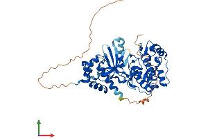 Protein Structure (PS) image for Serine/threonine-Protein Kinase NIM1 (NIM1) (AA 1-436) protein (His tag) (ABIN7558643)