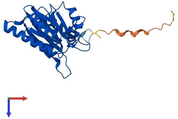 PSMA1 Protein (AA 1-263) (His tag)