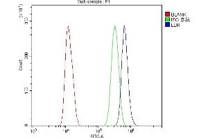 Flow Cytometry analysis of U20S cells using anti-LBR antibody (ABIN6719340). (Lamin B Receptor Antikörper  (AA 102-209))
