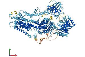 Protein Structure (PS) image for ATPase, Class I, Type 8A, Member 2 (ATP8A2) (AA 1-1148) protein (His tag) (ABIN7563572)