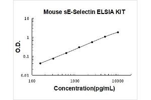 Selectin E (Soluble) (sE-Selectin) ELISA Kit