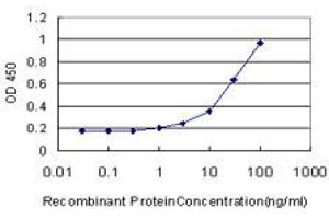 Detection limit for recombinant GST tagged NDST3 is approximately 1ng/ml as a capture antibody. (NDST3 Antikörper  (AA 162-259))