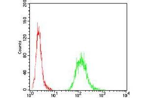 Flow cytometric analysis of A431 cells using EZR mouse mAb (green) and negative control (red). (Ezrin Antikörper  (AA 292-464))