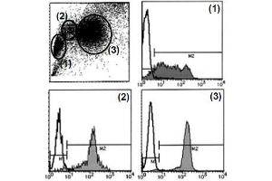 Flow Cytometry (FACS) image for anti-Sialophorin (SPN) antibody (ABIN1106370) (CD43 Antikörper)