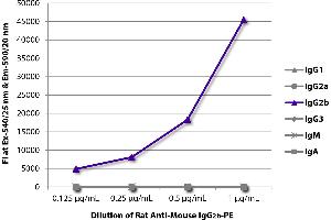 FLISA plate was coated with purified mouse IgG1, IgG2a, IgG2b, IgG3, IgM, and IgA. (Ratte anti-Maus IgG2b Antikörper (PE))