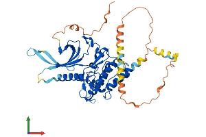 AlphaFold protein structure predicition of Mouse Recombinant Stk40 Protein, UniprotID Q7TNL3 (STK40 Protein (AA 1-435) (His tag))