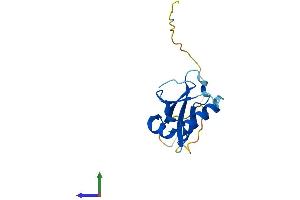 Protein Structure (PS) image for Autophagy Related 12 (ATG12) (AA 1-140) protein (His tag) (ABIN7552400)