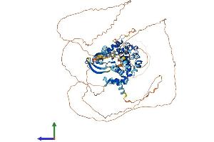 Protein Structure (PS) image for NIMA related kinase 4 (NEK4) (AA 1-792) protein (His tag) (ABIN7565277)