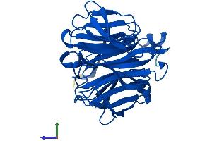 Protein Structure (PS) image for Regucalcin (RGN) (AA 1-299) protein (His tag) (ABIN7557836)
