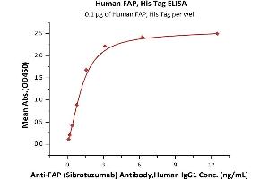 ELISA image for Fibroblast Activation Protein, alpha (FAP) (AA 26-760) (Active) protein (His tag) (ABIN7013467)