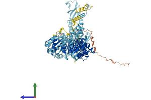 Protein Structure (PS) image for MutS Homolog 5 (MSH5) (AA 1-834) protein (His tag) (ABIN7549481)