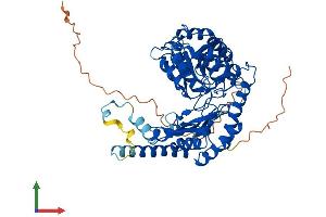 AlphaFold protein structure predicition of Mouse Recombinant Sptlc2 Protein, UniprotID P97363
