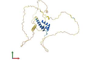 Protein Structure (PS) image for Homeobox D11 (HOXD11) (AA 1-323) protein (His tag) (ABIN7562988)