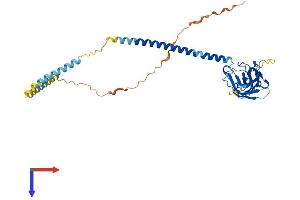 SUN5 Protein (AA 1-373) (His tag)