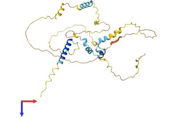 FAM110C Protein (AA 1-321) (His tag)