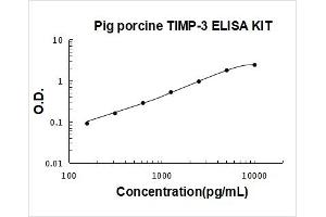 Pig TIMP-3 PicoKine ELISA Kit standard curve