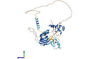 AlphaFold protein structure predicition of Mouse Recombinant Ubox5 Protein, UniprotID Q925F4