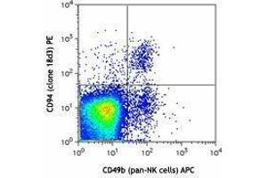 Flow Cytometry (FACS) image for anti-Killer Cell Lectin-Like Receptor Subfamily D, Member 1 (KLRD1) antibody (PE) (ABIN2663656) (CD94 Antikörper  (PE))