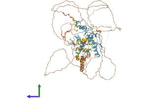 Protein Structure (PS) image for B-Cell CLL/lymphoma 6 (BCL6) (AA 1-707) protein (His tag) (ABIN7563228)