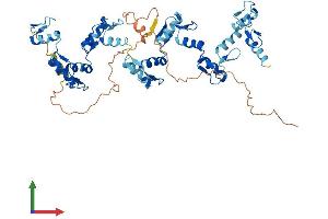 AlphaFold protein structure predicition of Human Recombinant ZFP3 Protein, UniprotID Q96NJ6