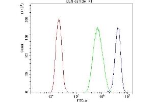Flow Cytometry analysis of PC-3 cells using anti-PIAS1 antibody (ABIN7602694). (PIAS1 Antikörper  (AA 96-300))