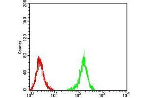 Flow Cytometry (FACS) image for anti-Neurofilament Triplet M Protein (NEFM) (AA 779-916) antibody (ABIN5872897) (NEFM Antikörper  (AA 779-916))